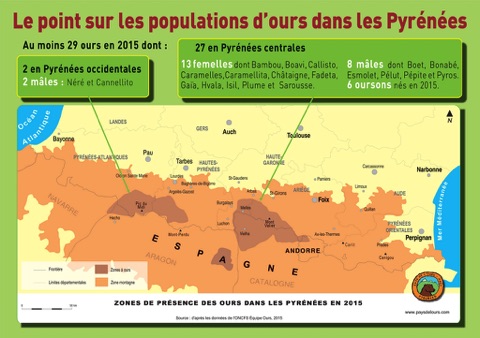 Map of bears in the Pyrenees